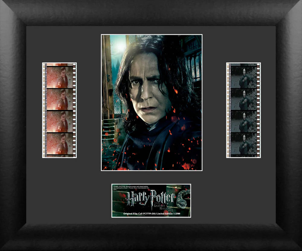 Harry Potter and the Deathly Hallows Part 2 (S6) Limited Edition Double FilmCells Presentation